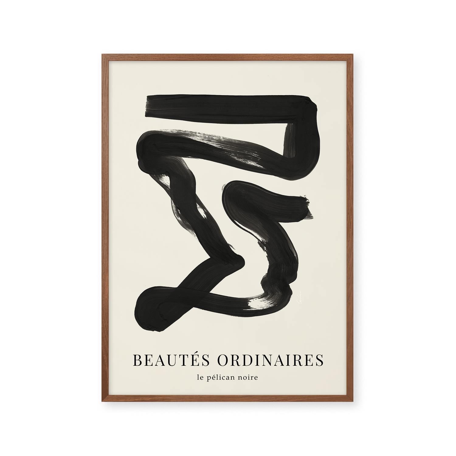 Beautes Ordinaires - Le pélican noir
