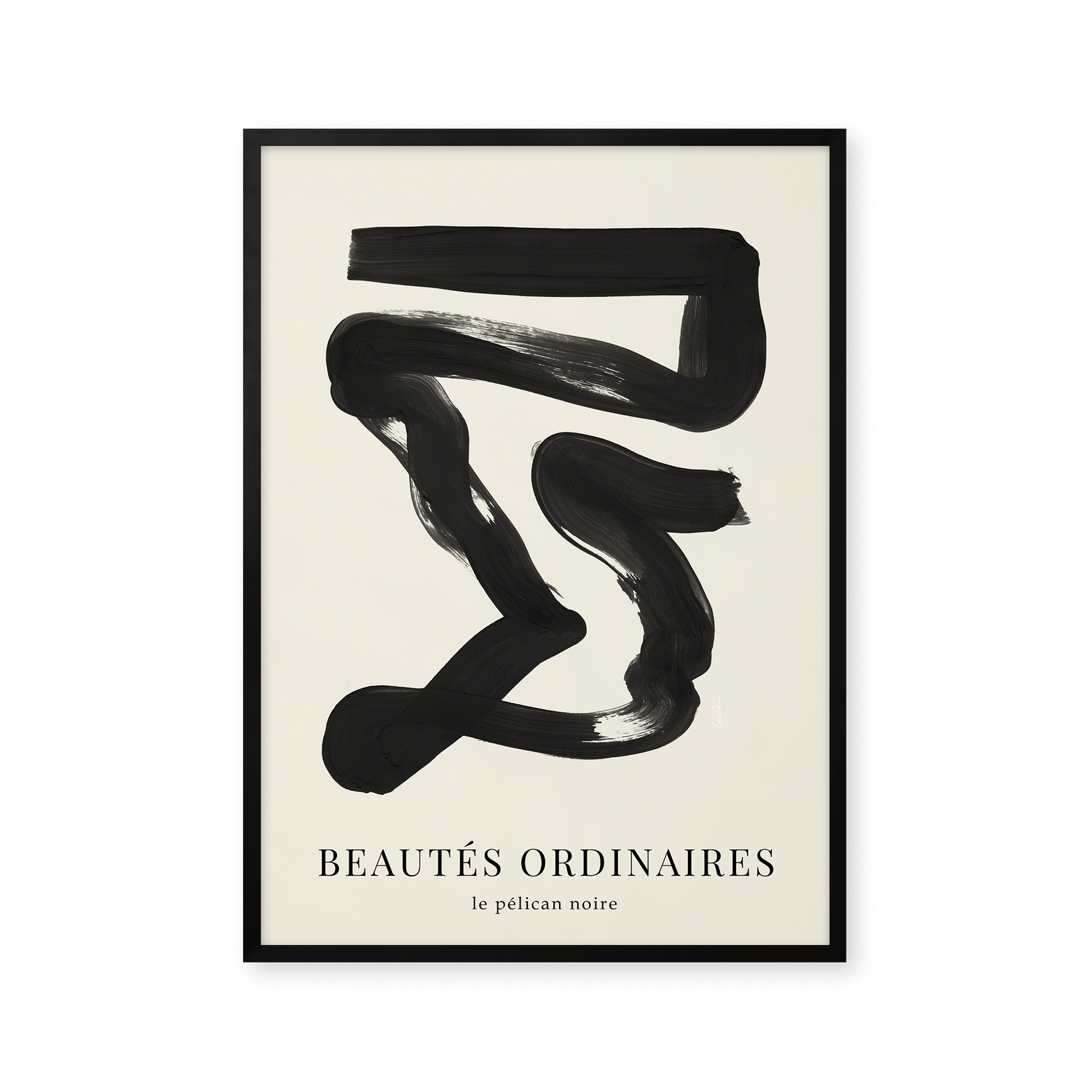 Beautes Ordinaires - Le pélican noir