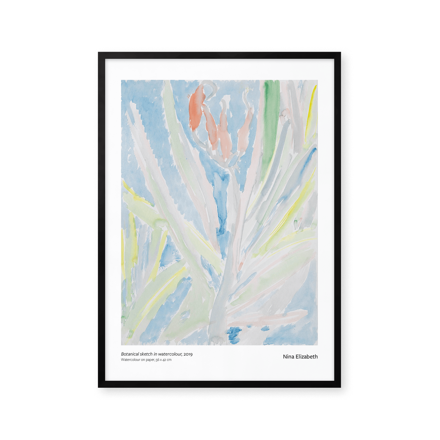 Botanical sketch in watercolour