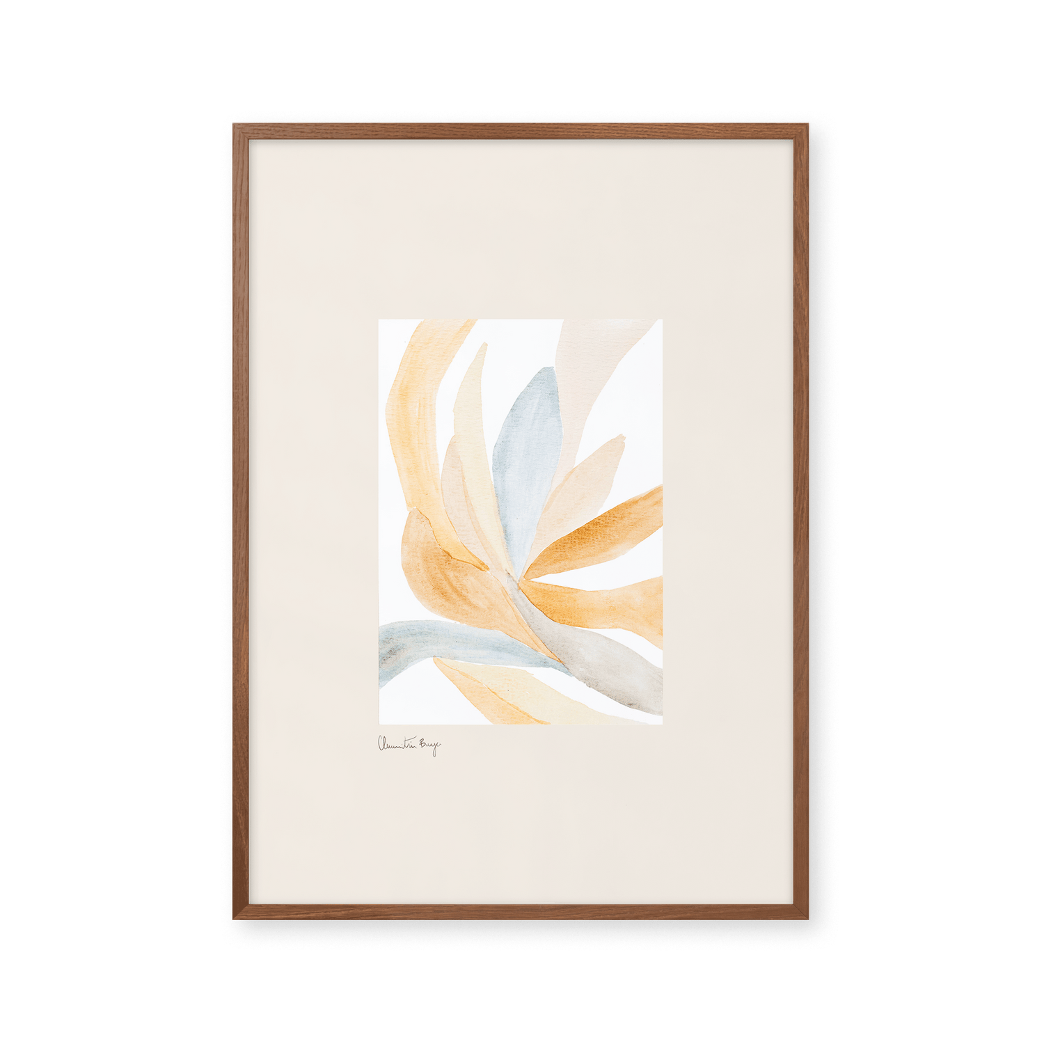 Contour - Orange