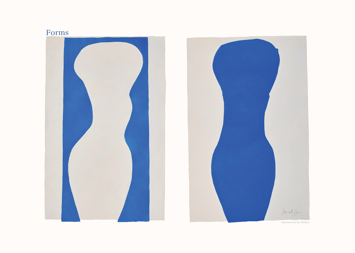 Forms