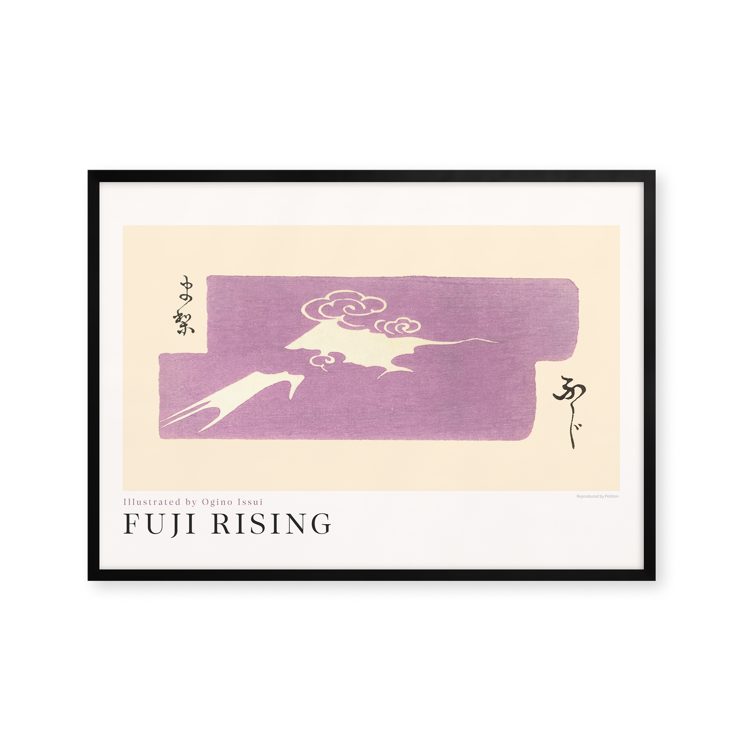Fuji Rising