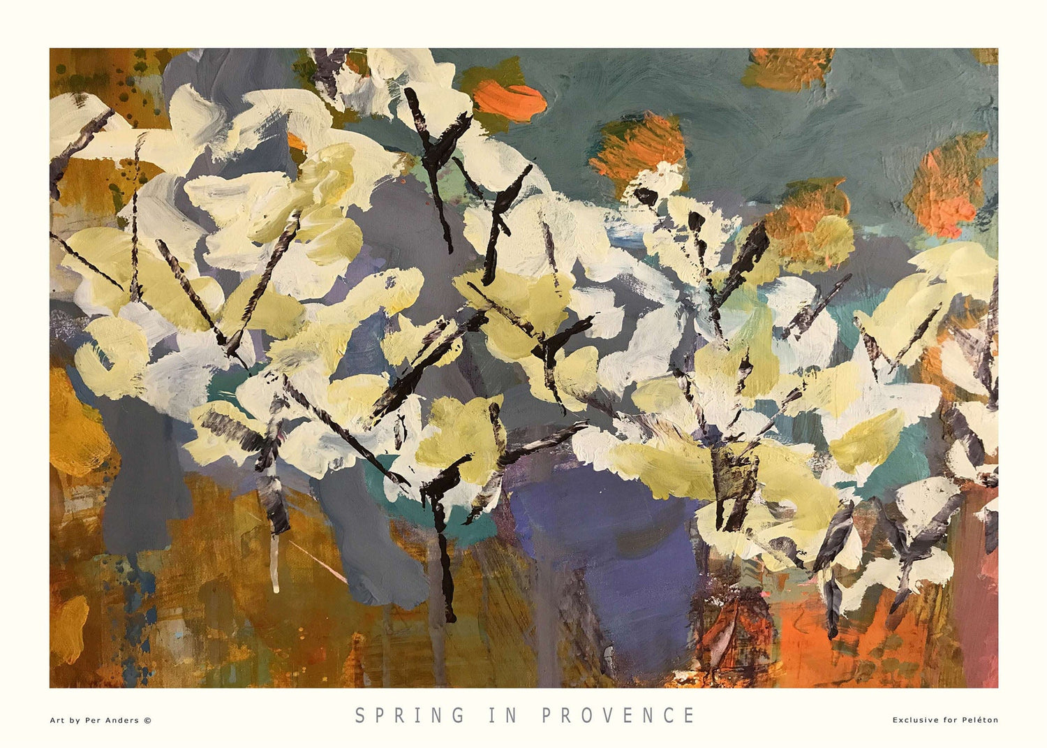 Frühling in der Provence