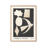 A Bird at Night