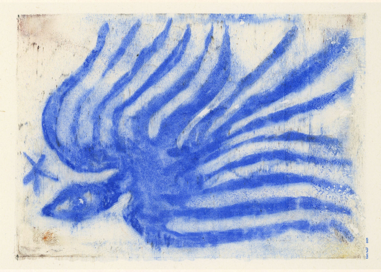 Blue Bird