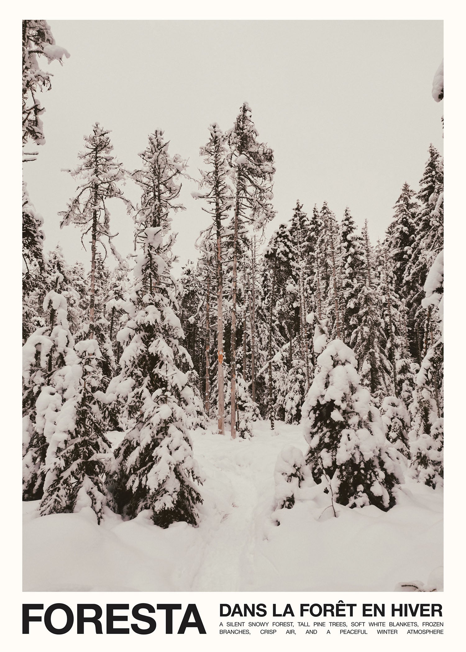 Foresta