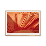 Orange Mountain