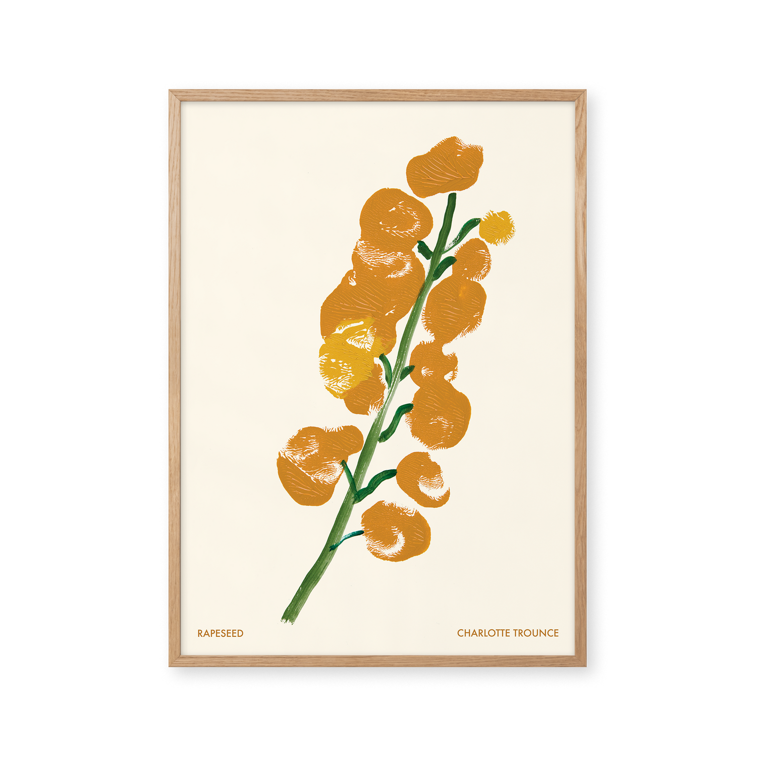 Rapeseed
