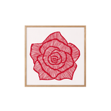 Rose - Rot