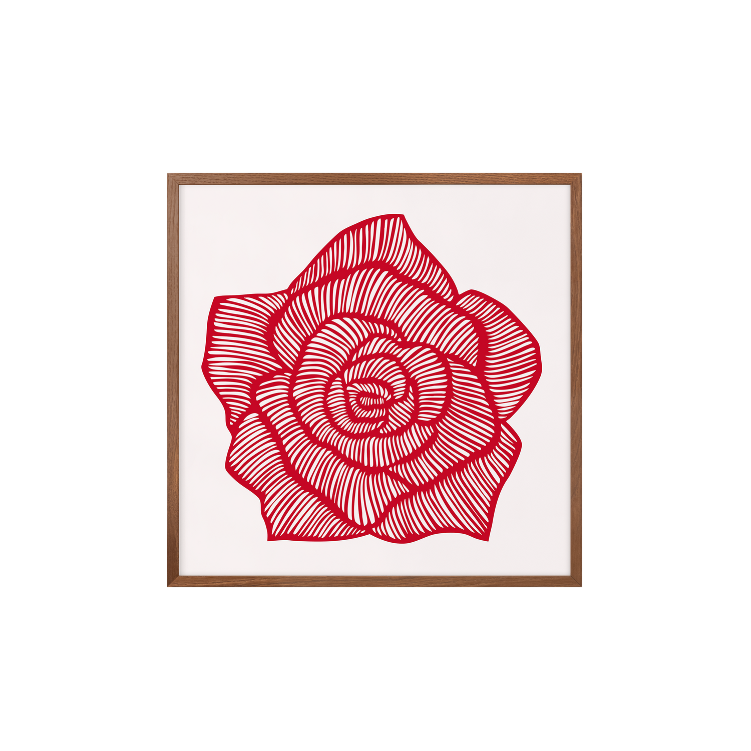 Rose - Rot