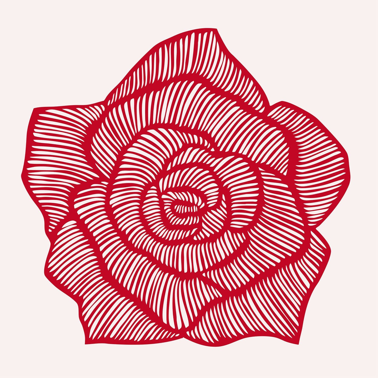 Rose - Rot