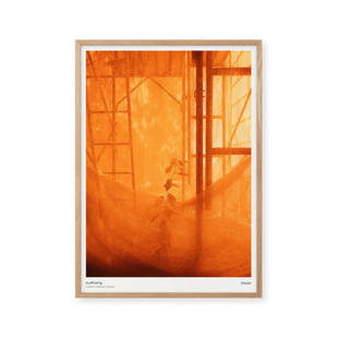Scaffolding Shelter