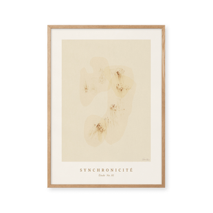 Synchronicité Nr. 01